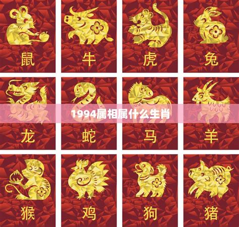 生肖 1994|94年是属什么生肖？